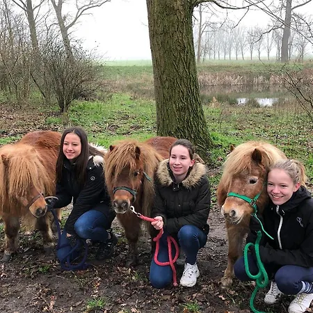 Gastenverblijf Het Voorhuis بيت للعطل Herpen