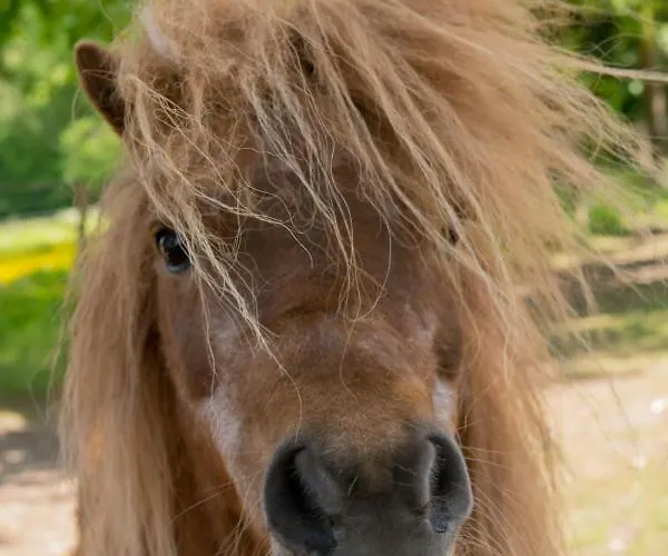 Vakantiehuis Het Voorhuis Herpen