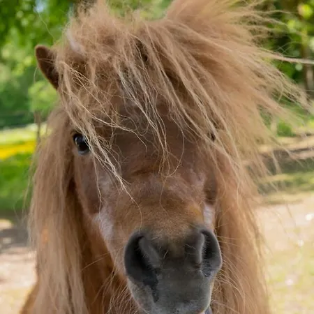 Feriehus Het Voorhuis Herpen